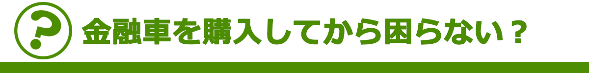 金融車を購入してから困らない？